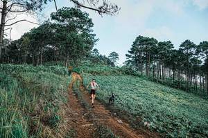 BIB: 
                            <button type="button" onclick="openModal(25653845)" class="btn btn-primary btn-sm float-right btn-popup" data-toggle="modal" data-target=".modal-high-quality">
                        <i class="fas fa-shopping-cart"></i> Add to Cart
                    </button>
                                            <button type="button" onclick="isThisMe(25653845, true)" class="btn btn-success btn-sm float-right btn-popup btn-isme hidden" data-toggle="tooltip" data-placement="bottom" title="นี่คือรูปของคุณใช่ไหม คลิกที่นี่เพื่อเอาเข้าอัลบั้ม">
                        <i class="fas fa-plus"></i> Add to album
                    </button>
                    <button type="button" onclick="isThisMe(25653845, false)" class="btn btn-warning btn-sm float-right btn-popup btn-isnotme hidden">
                        <i class="fas fa-ban"></i> Remove from album
                    </button>